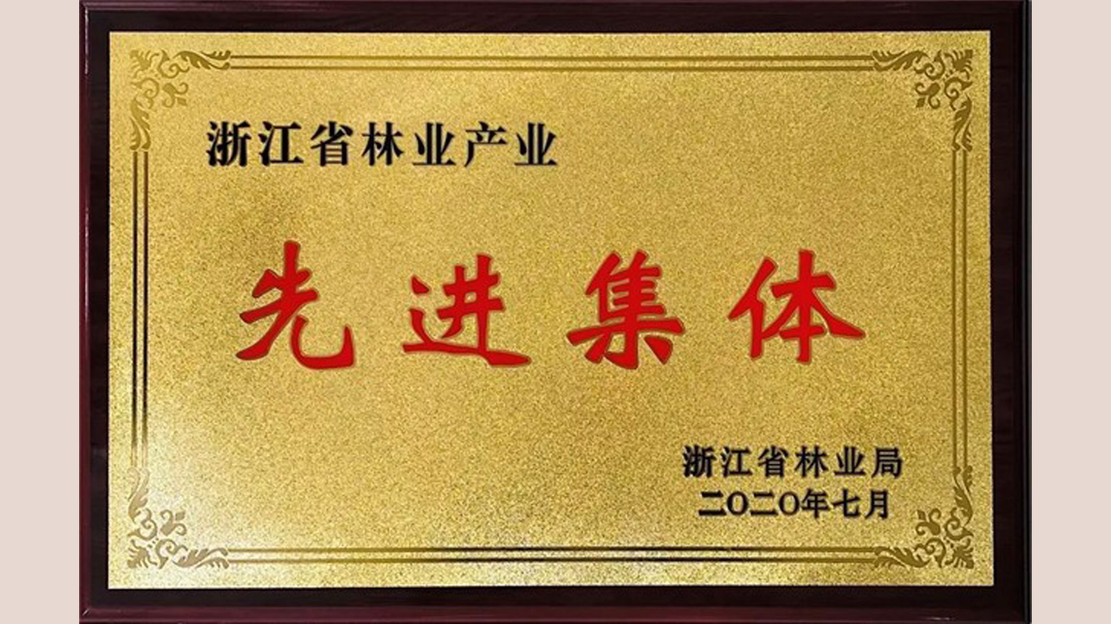 天格地板榮獲“林業(yè)產(chǎn)業(yè)先進(jìn)集體”稱號